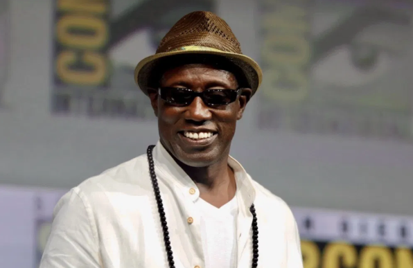 Actors Who Really Know How To Fight In Real Life