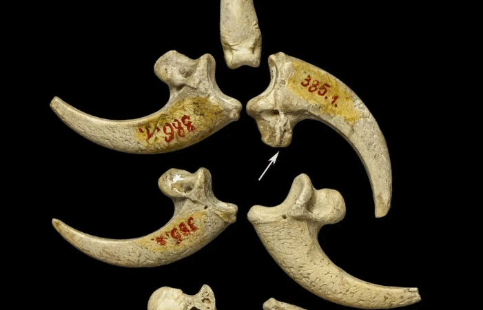 15 Mind-Blowing Historical Facts That School Never Taught You
